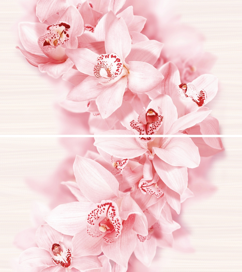 Aroma роз. декор 45*50