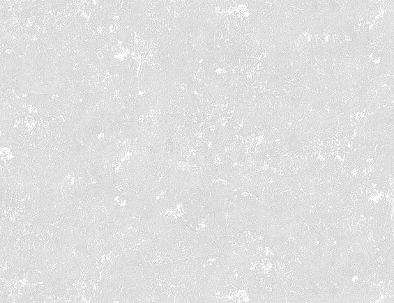 Обои 281357  1,06*10м 