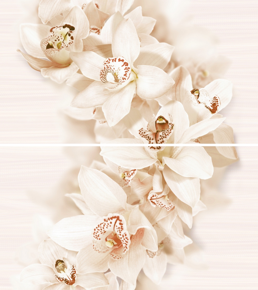 Aroma беж. декор 45*50 