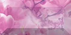 Magnolia бордюр рельеф.  br1020D297-1  20*10