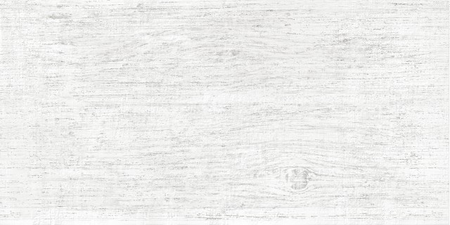 Плитка настенная Wood White WT9WOD00 249*500