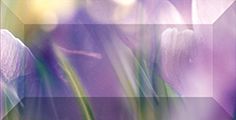 Crocus бордюр рельеф. br1020D286-2  20*10