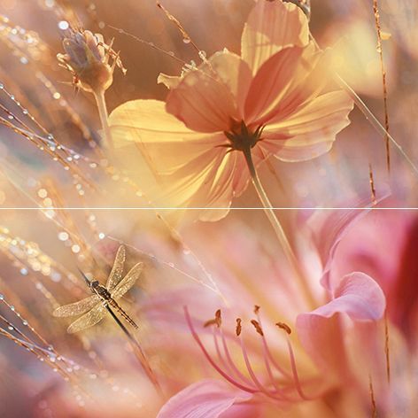 Flowers панно P2-1D205  (из 2 плиток)  40*40