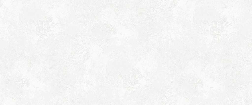 Обои 283175  1,06*10м 