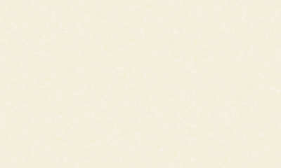 Обои 8744-14  1,06*10м 